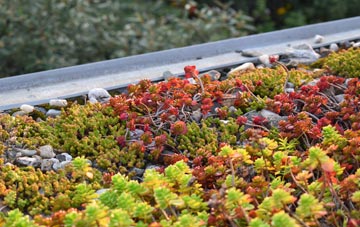 the cost of Grange Over Sands green roof installation