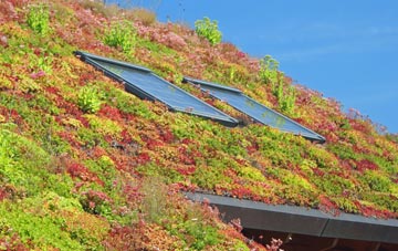Grange Over Sands living roof systems